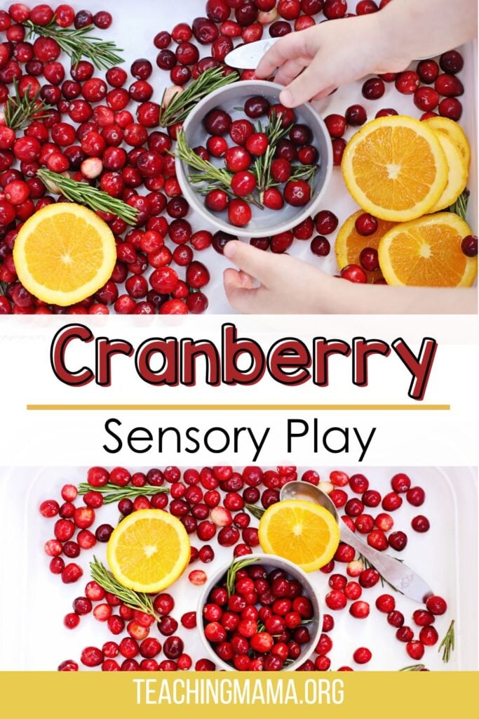 Cranberry Sensory Play