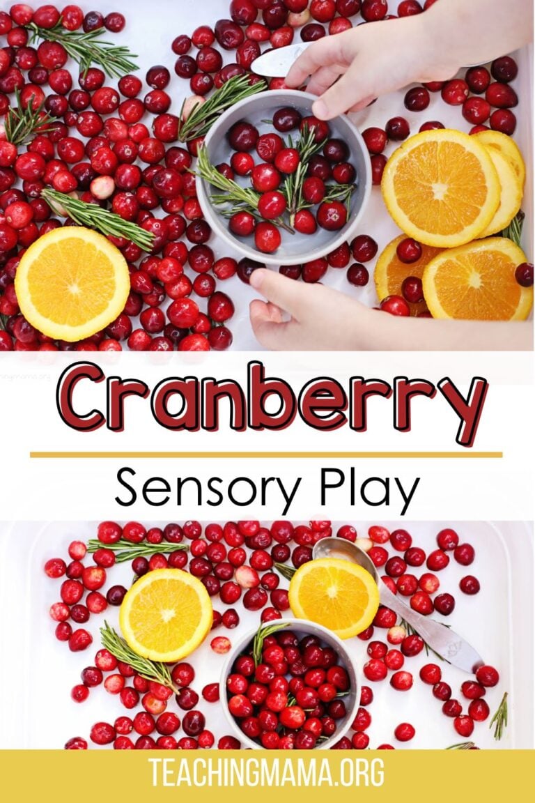 Cranberry Sensory Bin