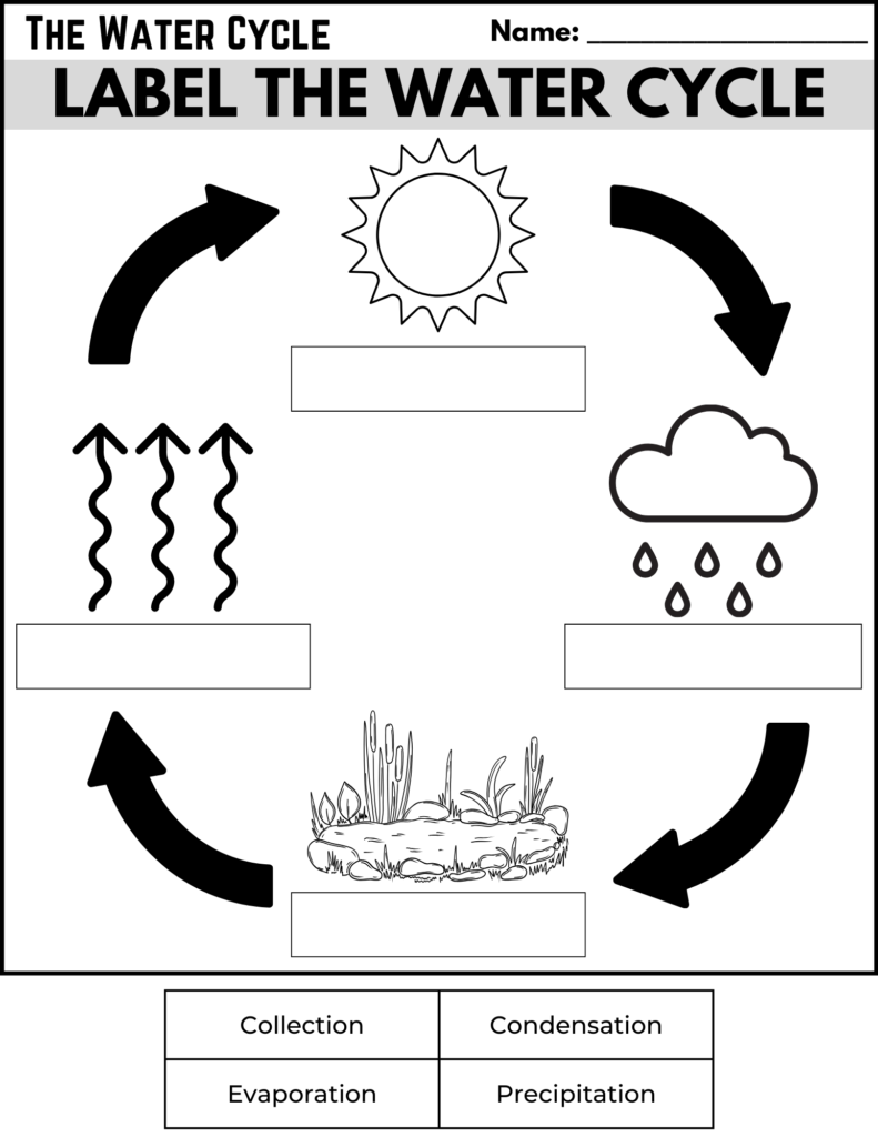 water cycle