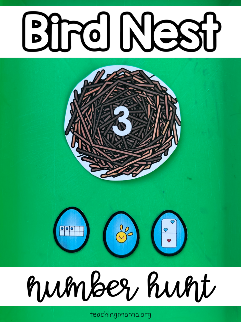 bird nest number hunt