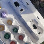 Egg carton summer activity for preschoolers