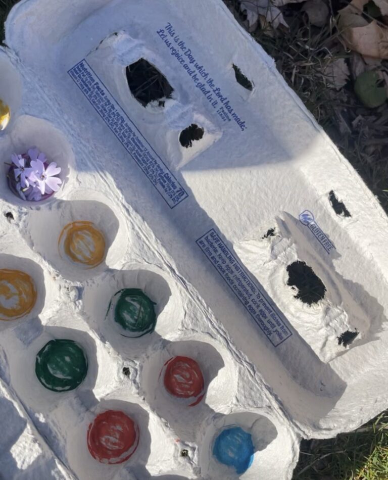 Egg carton summer activity for preschoolers